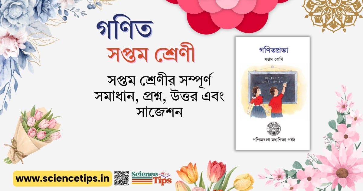 Class VII Math Solutions