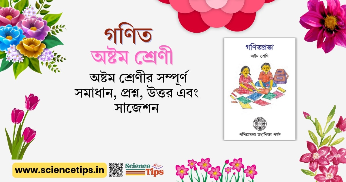 Class VIII Math Solutions